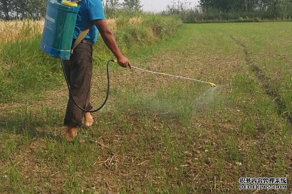過量使用封閉除草劑的后果