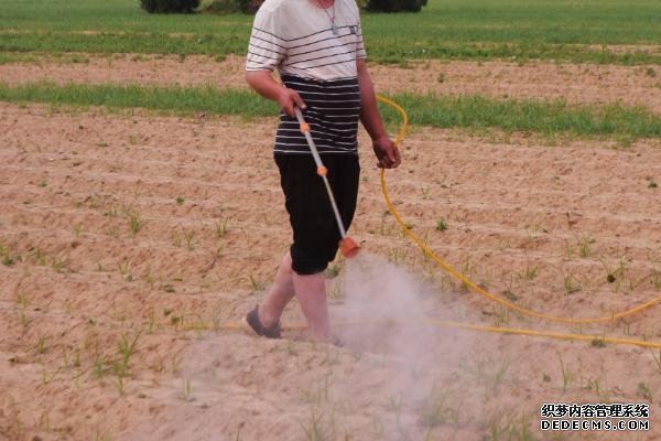 過量使用封閉除草劑的后果