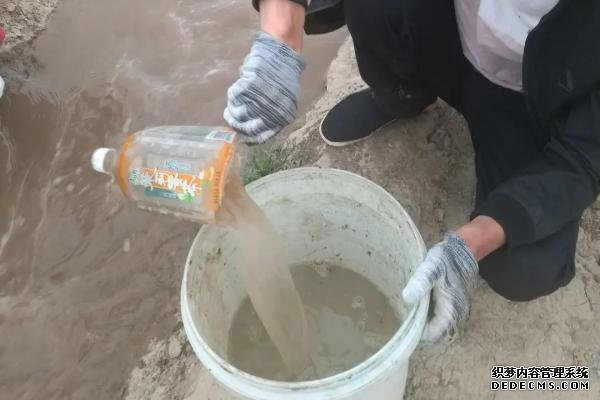 果樹水溶肥怎么使用