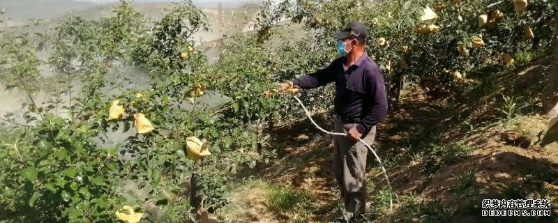 果樹水溶肥怎么使用