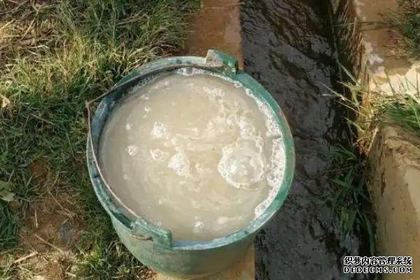 果樹水溶肥怎么使用