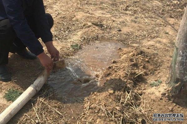 果樹水溶肥怎么使用