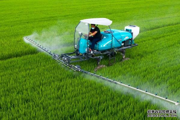 水稻防治害蟲的適宜時(shí)間